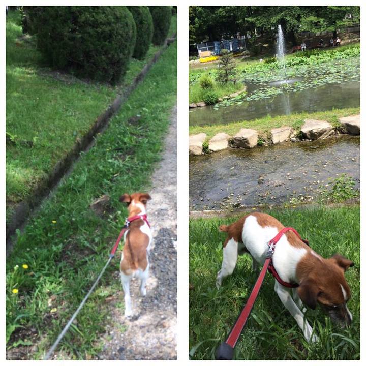 45a9df18 4eea 4bf2 9a2b 6e79ee338b55