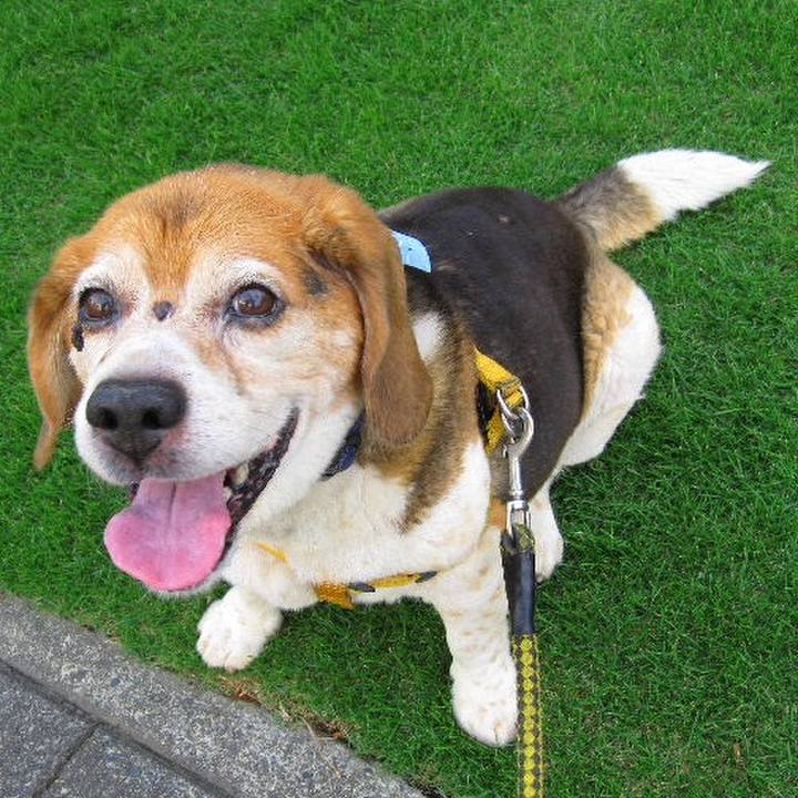 45a9fb09 f2ae 445b be00 7416f767d24c