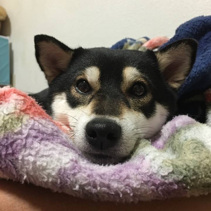 45ab09be 4d34 4ff5 ae84 3501a534d3cb