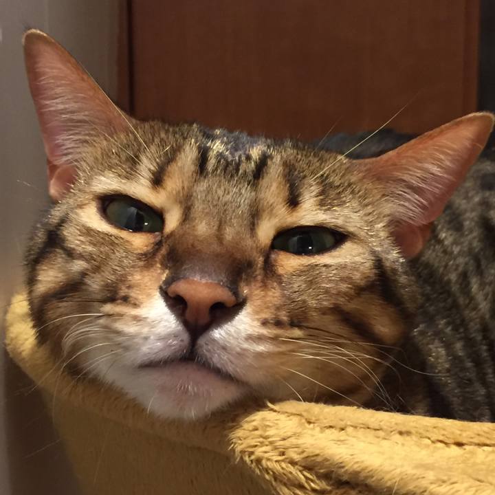 45ab1954 9cfa 46f2 8a31 7ffdc32f6224