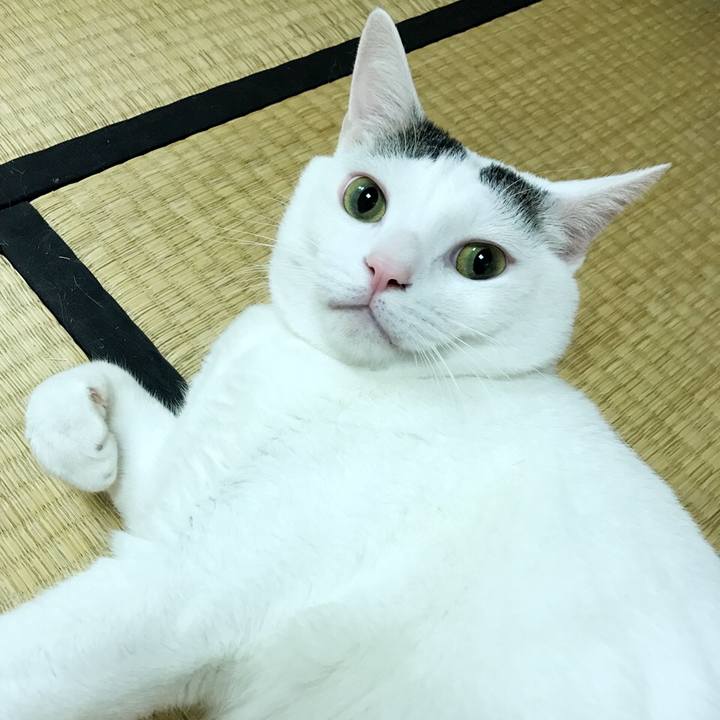 45abf042 b2a5 4996 877e e6bdfe37bd0e