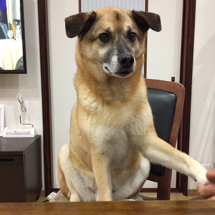 45abfeeb 0942 45a2 855f 66486134023e