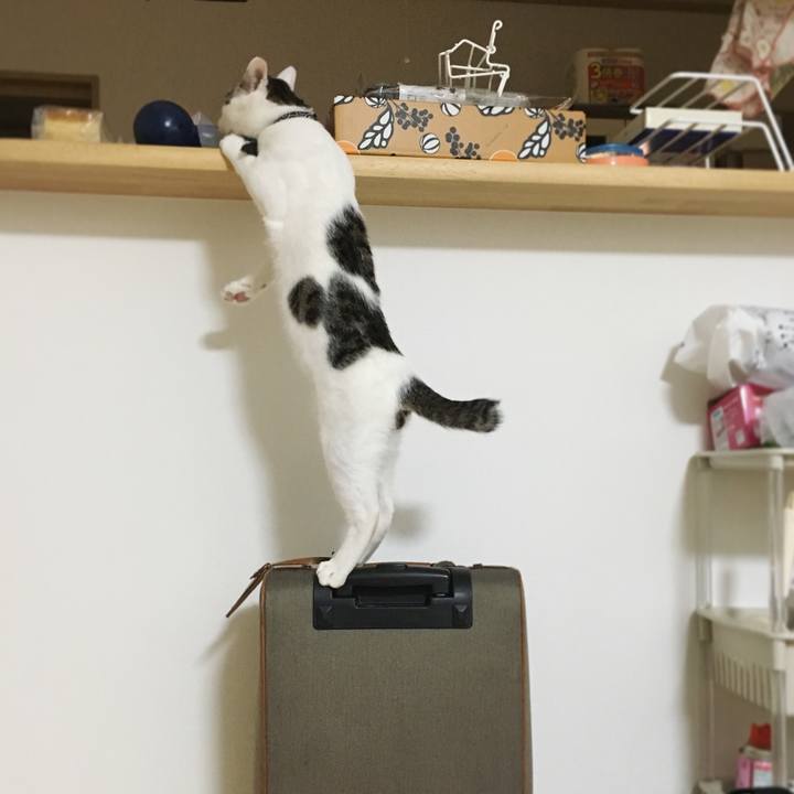 45acf3ff ce26 4563 a70e eb8d51317a02