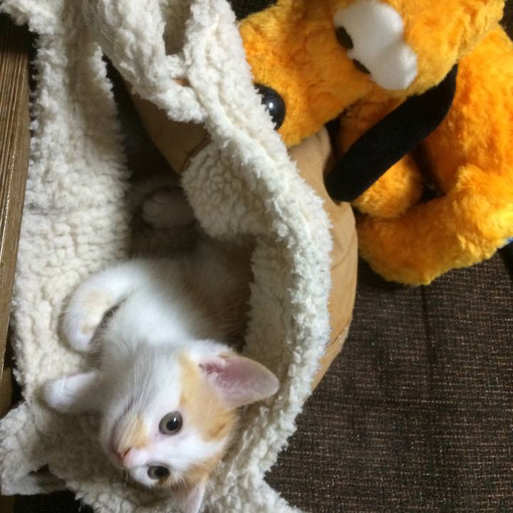 45acfc1b ea4a 4219 a0c5 2432f463972b