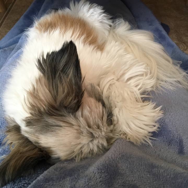 45ad193f be4e 41bb ad95 bd0fb7f3d525