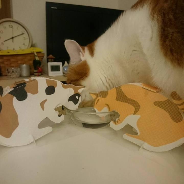 45ad352e 3d8a 45b5 b292 3779394e9bc5