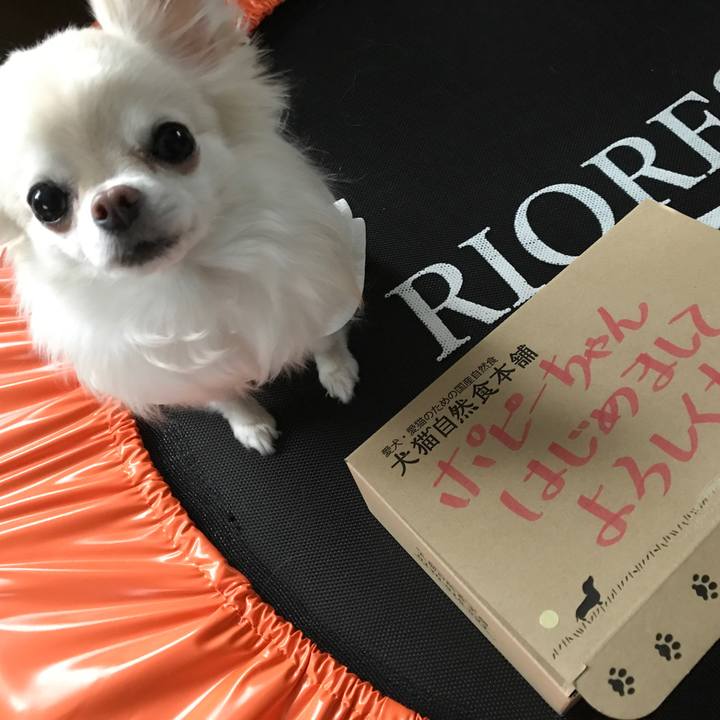 45ad3f4a 4fc0 4b6f ad09 1a86ed9e264e