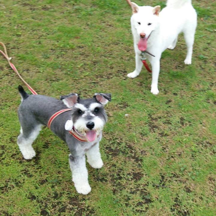 45ad5f42 8f53 4bf6 94e5 5e50beea3948