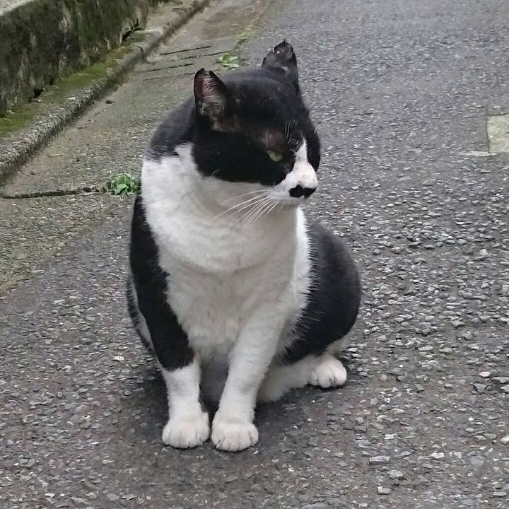 45adf98e 967e 4993 8590 37328214d084