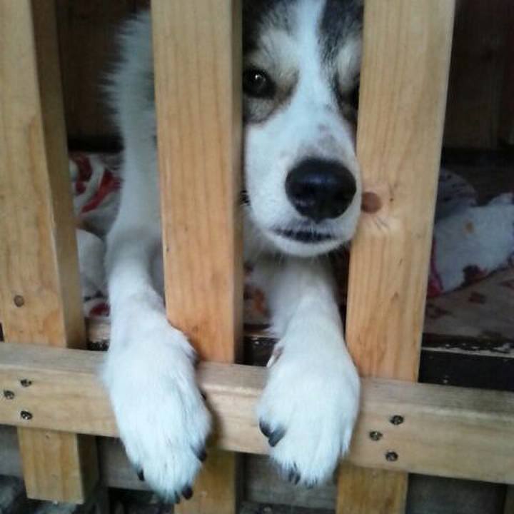 45ae2f28 fac6 45eb a879 62f73f5123d7