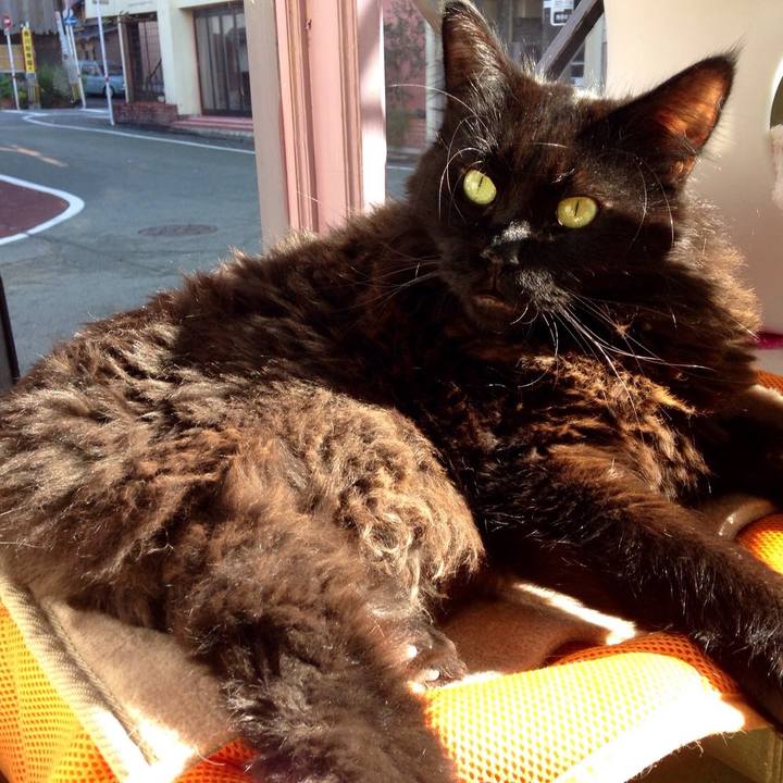 45ae3633 0b64 40d4 a717 0d290fabe8bf