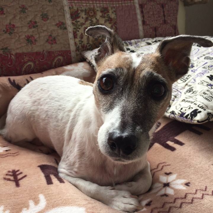 45af75a3 8aec 49fe be74 8e984d1c0775