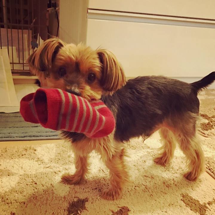 45b00b1f 5b11 4447 a968 39baaa33f98e