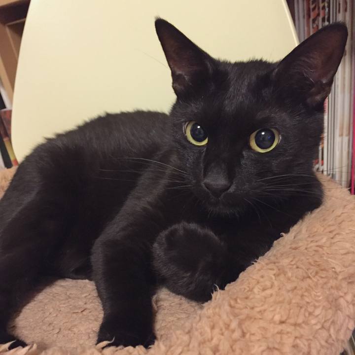 45b04abb 2c01 48c1 9af7 9ad566570e68