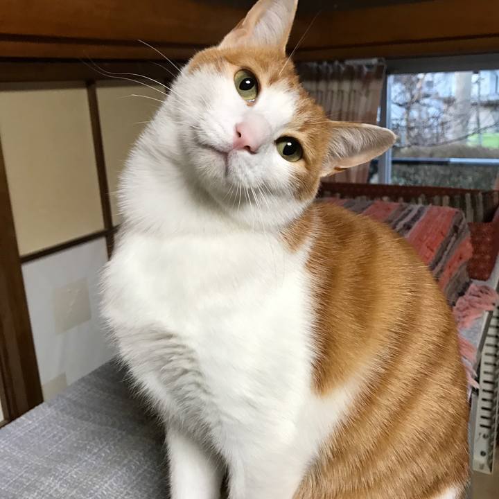 45b09343 435d 4edd a9e0 76266d3eaf66