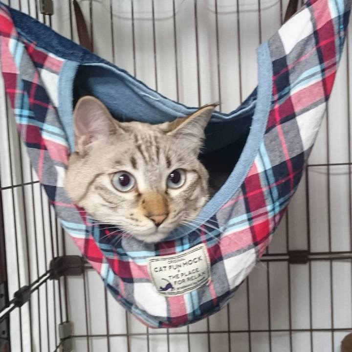 45b16d60 ddd6 4e34 81e4 4ad81b4ae186