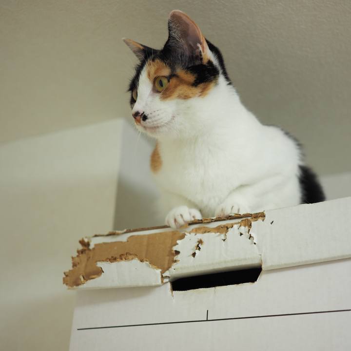 45b1a890 308d 4ffc 9272 34cbf781e568