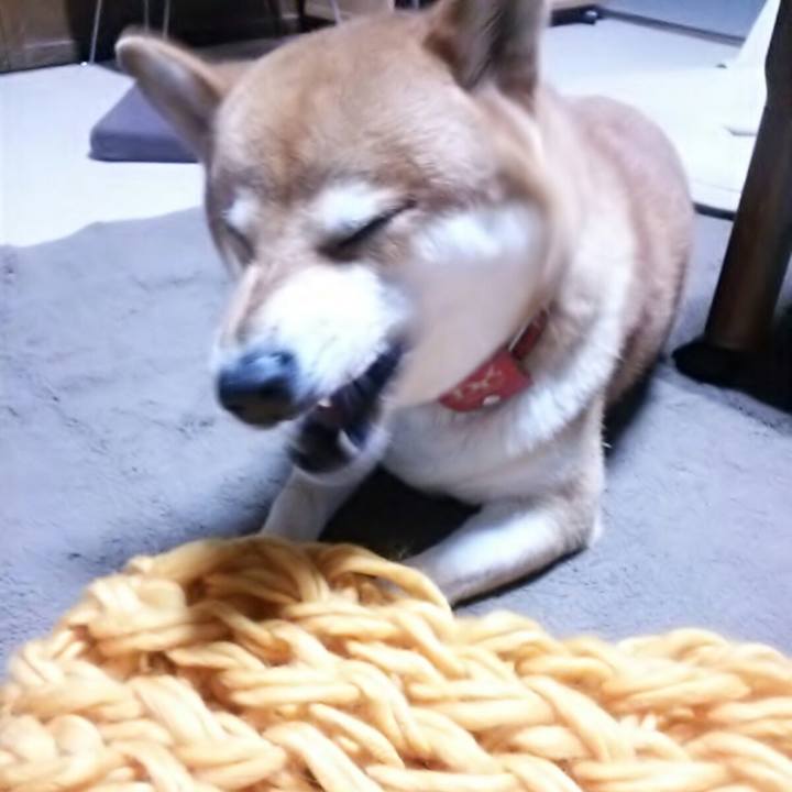 45b1d482 b079 429b 917b 84df9fc5cb02