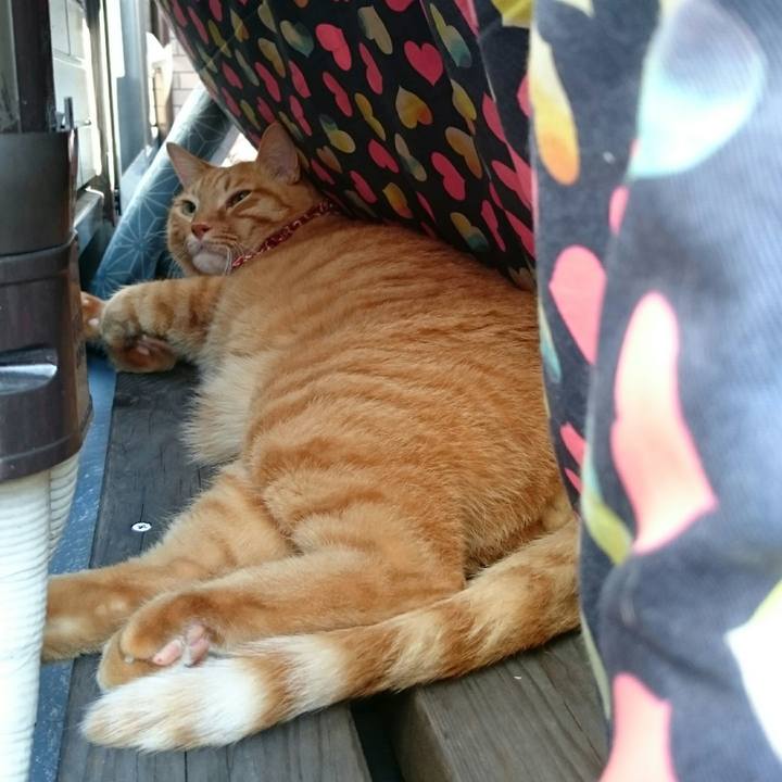 45b20d14 d61f 4bac 8af0 8b8afa9f1f13