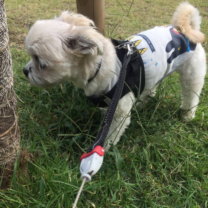 45b2187a fee7 41cf a481 a1b354fb6e03