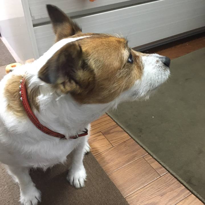 45b222ed 42fd 4817 9bbe deca633e19b5