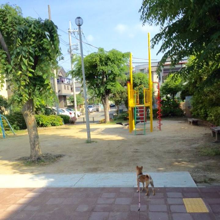 45b2efdc 6ee8 49d5 ac75 7a39c6b6856d