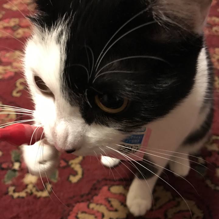 45b380c2 b93b 44a5 913f b64da5340fac