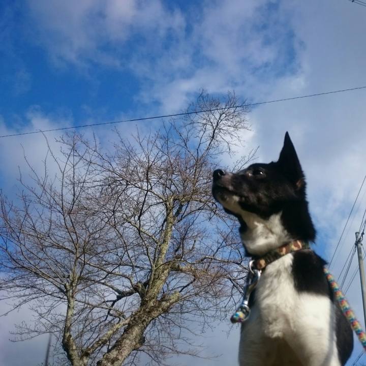 45b42e0b 39dd 42e9 9118 27b4f3ab6980