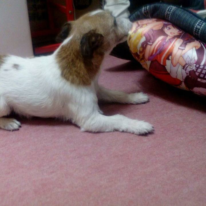 45b4c4d9 eefc 4c8d 8980 f07c43262776