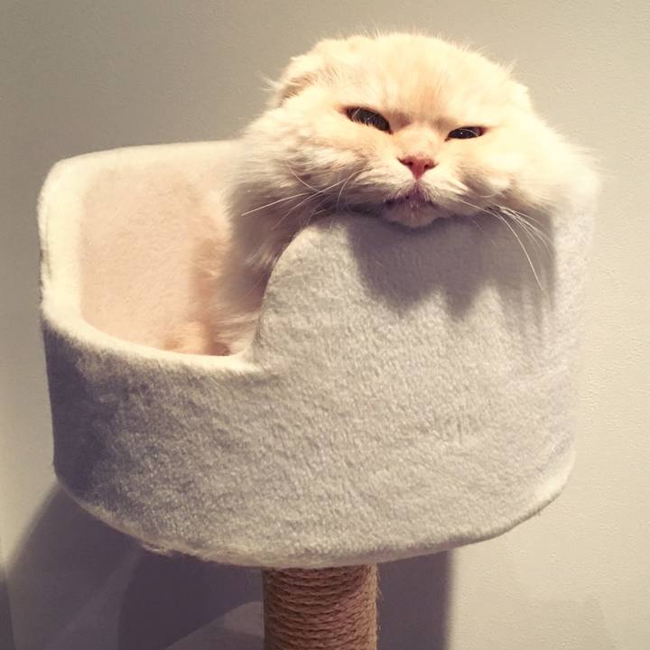 45b550cd ac10 4024 b33b 2c01031a34d7