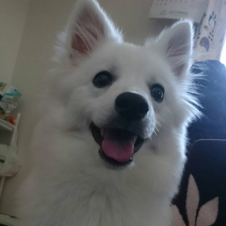 45b5ed67 edb2 4ac7 ae3e 75ee58beb778