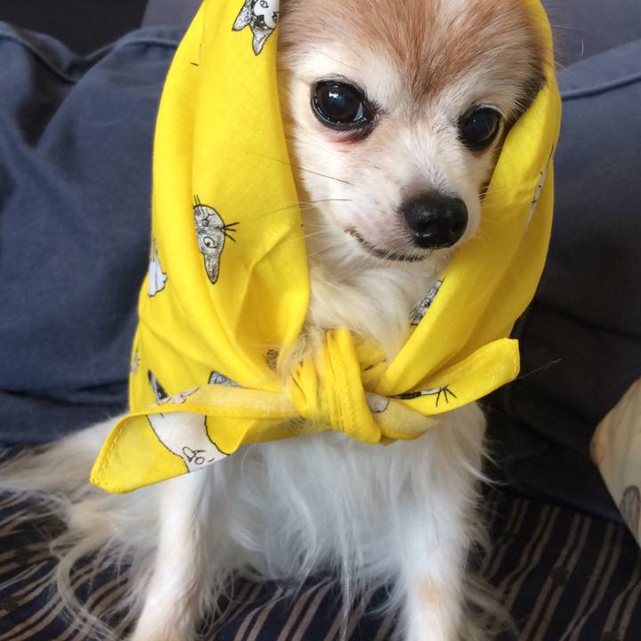 45b60c92 9b48 4a19 a7f2 35c2f56580ff