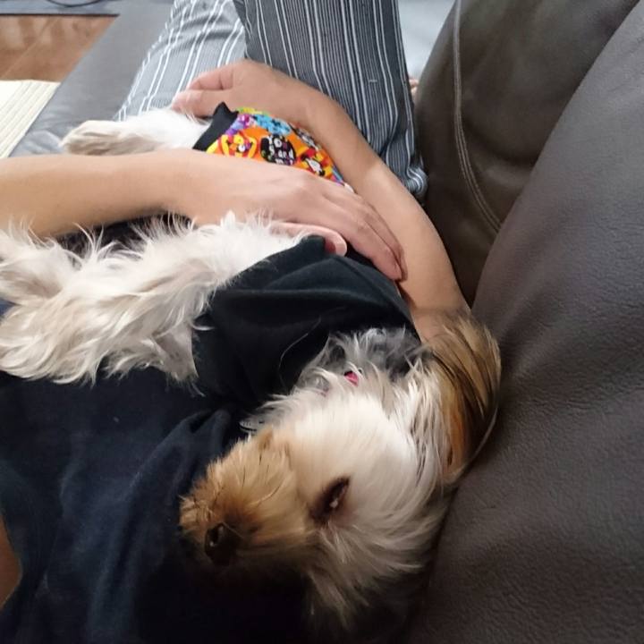 45b63c9f 315a 4a55 b009 f5d9a98fcf19