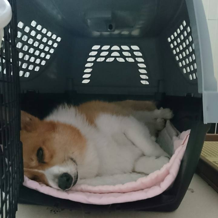 45b6c633 2d1b 4046 88fe 9d9c5113f880