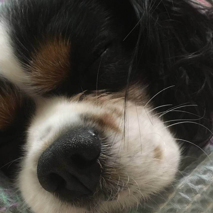 45b6d670 bbf4 4db1 b7e9 b941b0581202