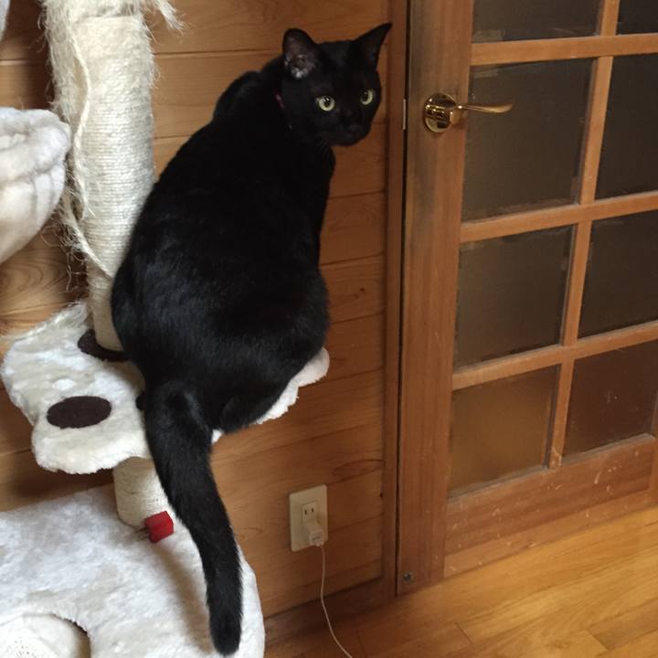 45b91570 7712 45ae b818 30dbff22700c