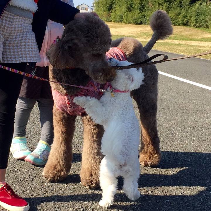 45b9b36f 929f 4a95 8bdf 52a0ccbfab47