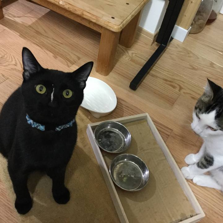 45ba1797 02ea 42c3 badd f4051aa173e7