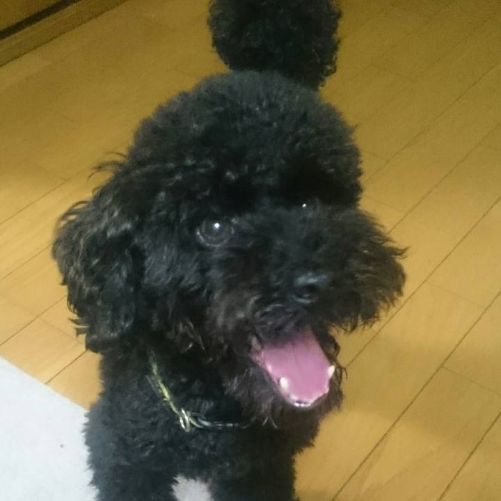 45ba5b76 7c2e 4f15 b4cb 40896bee9047