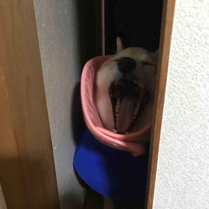 45ba97a4 a795 4622 80a5 b530f16a0f3c