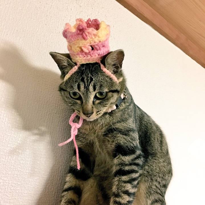 45ba996c da7b 45fe 8525 7094a36fc75a