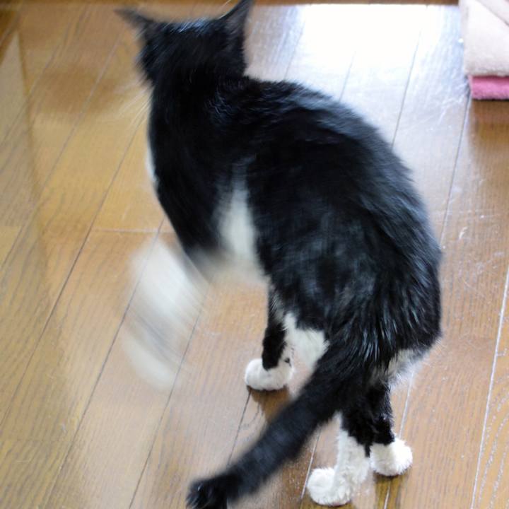 45baae39 c800 4bec 92f7 b61d934b7d77