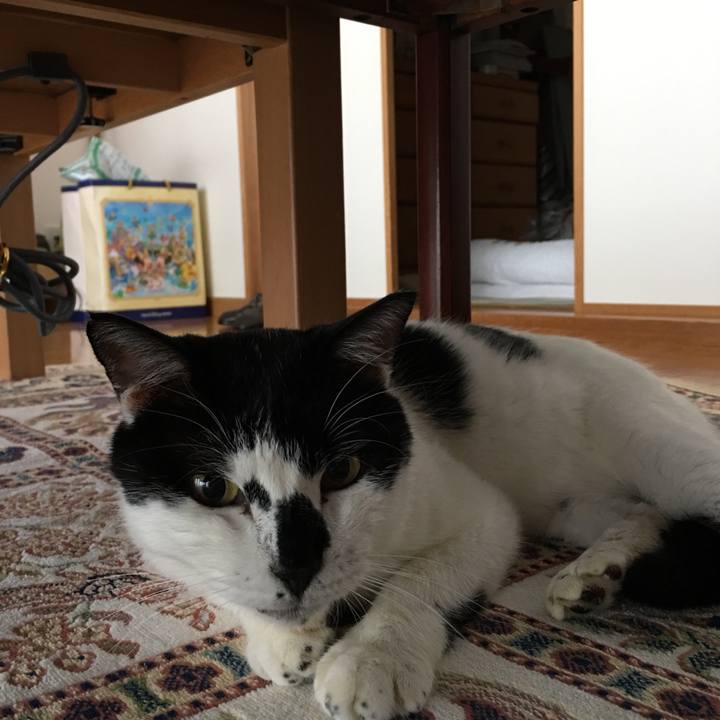 45bb8104 8816 4abc b1ba e03aa021a7d9