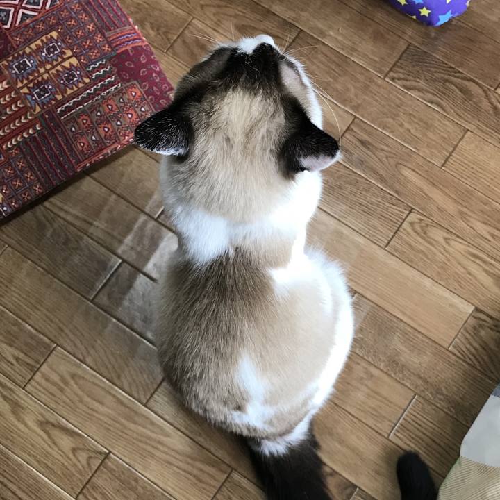 45bbcf23 ac35 459f 9fc0 3273231bfdbf