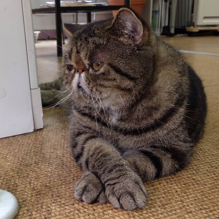 45bc4c47 9685 4ea5 af87 489e7e5b2552