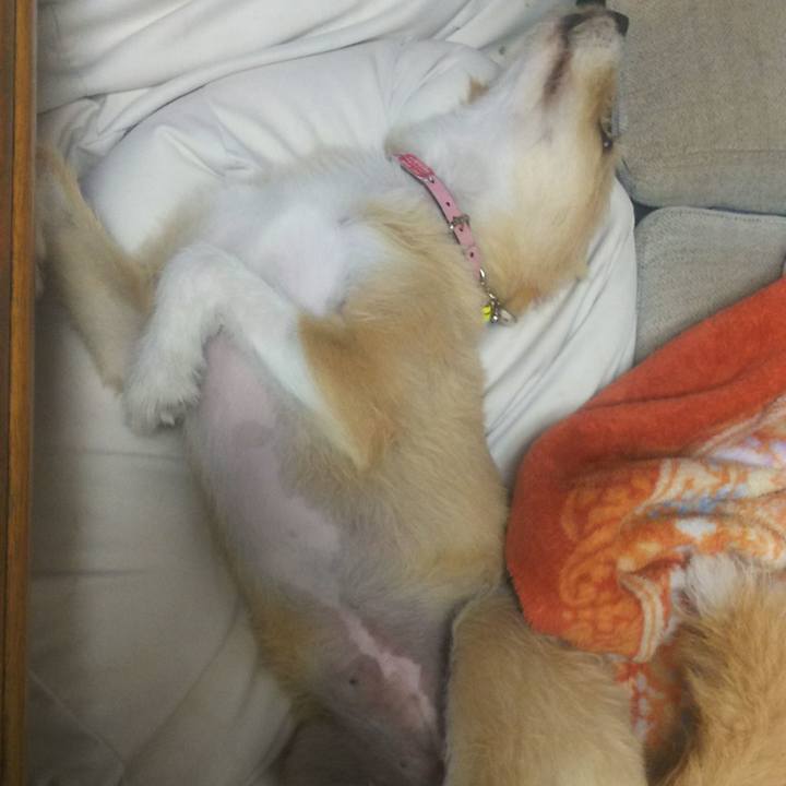 45bc64da 3dc5 48a9 a7d0 a139d870d4bb