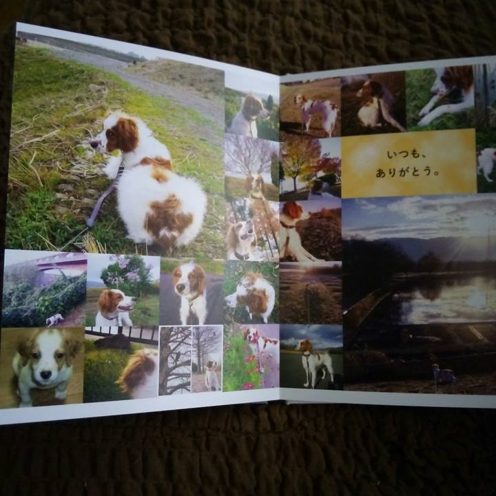 45bd358b 0b07 4702 96cc a4c104576abb