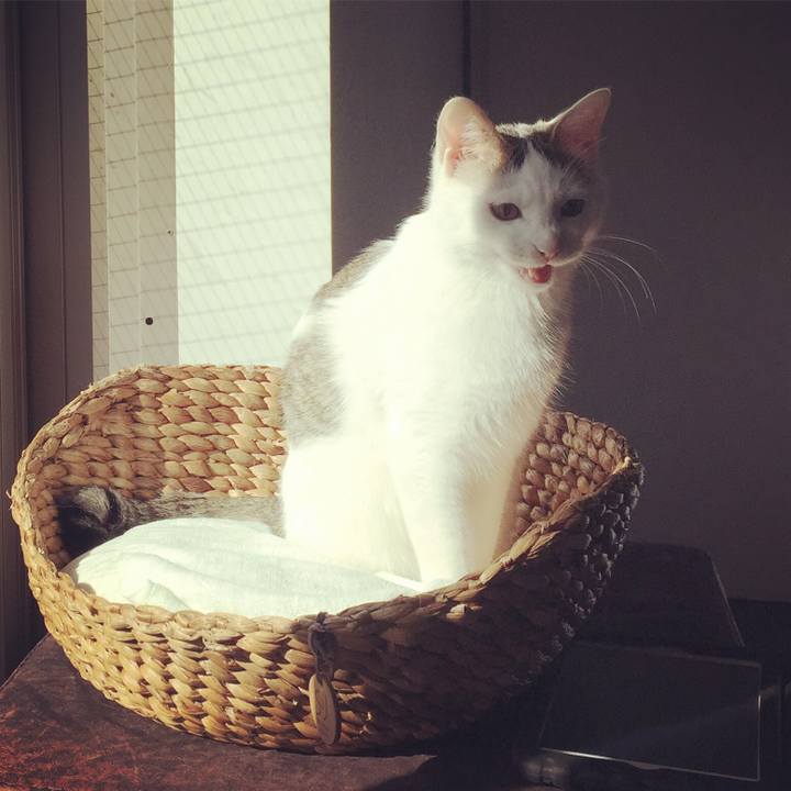 45bd9dfa 8456 4701 9b3f e509ccc891ae