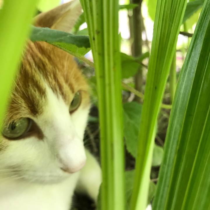 45be01db 6691 40e8 8d5b 06db738b83af