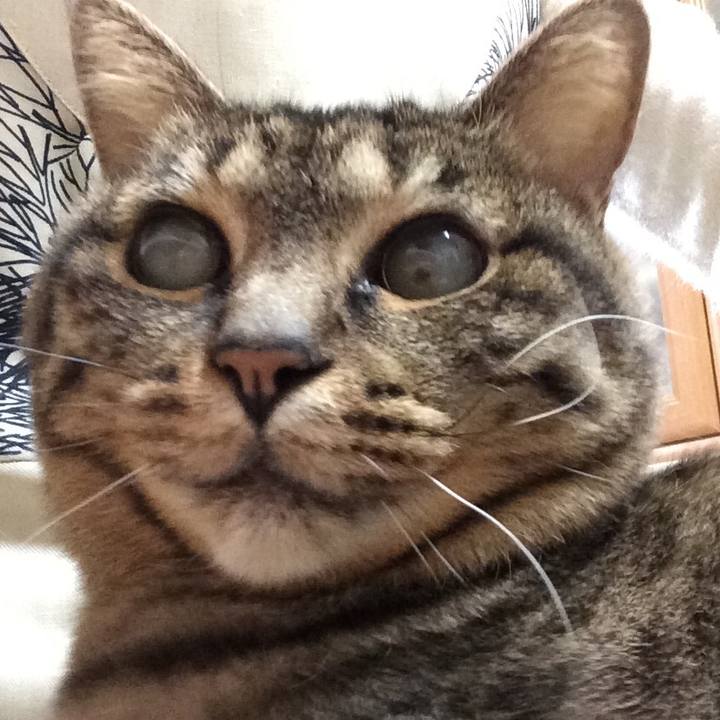 45be1566 94a3 4bd1 a0a8 f7f6decc7bbc